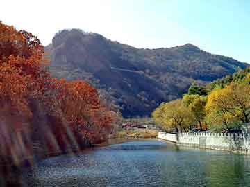 天天彩好彩天天免费，山东冲孔板